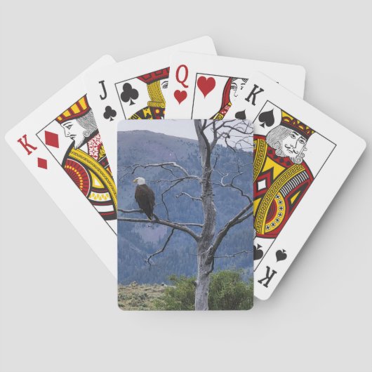 Jeu De Cartes On Watch Playing Cards (dos)