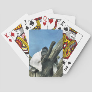 JEU DE CARTES ORANGUTANS
