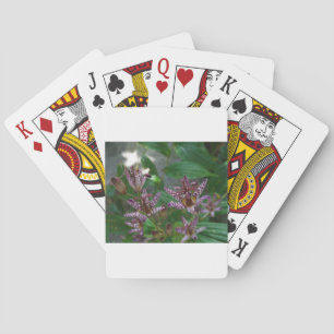 Jeu De Cartes Orchidée blanche rayée violette rose comme lys de 