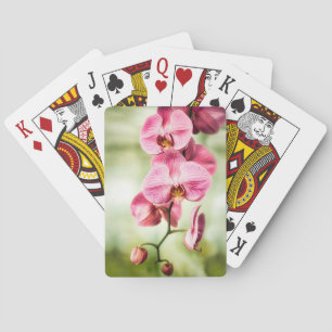 Jeu De Cartes Orchidée rose