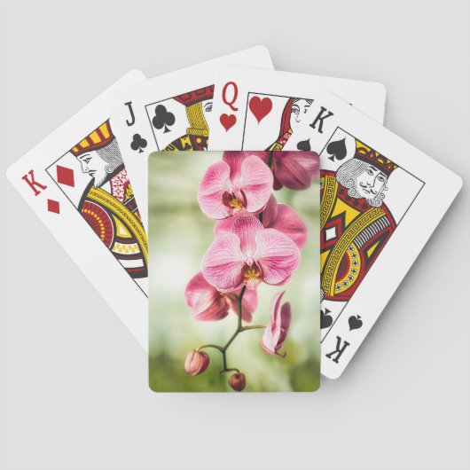 Jeu De Cartes Orchidée rose (dos)