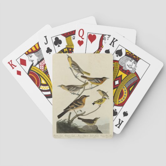 Jeu De Cartes Orioles, Thrushes, des oiseaux d'Amérique d'Audubo (dos)