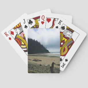 Jeu De Cartes Oswald West State Park, Oregon Coast