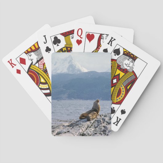 Jeu De Cartes Otaries dans le canal beagle - Argentine (dos)