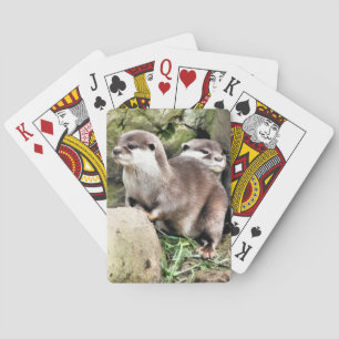 JEU DE CARTES OTTERS