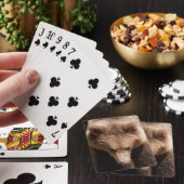 Jeu De Cartes Ours (In Situ)