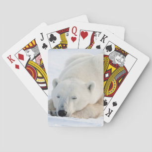 Jeu De Cartes Ours blanc en hiver
