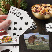 Jeu De Cartes Ours Brown dans un champ (In Situ)