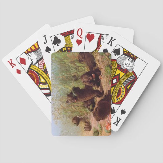 Jeu De Cartes Ours dans le Patch de la pastèque (par W.H. Beard) (dos)