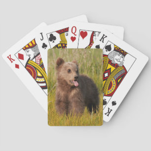 Jeu De Cartes Ours drôle de bébé des images   de Getty