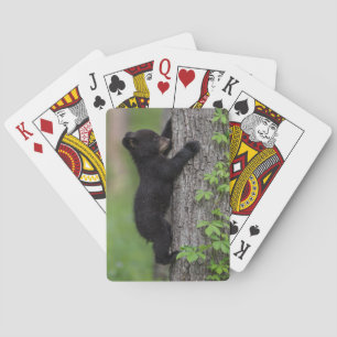 Jeu De Cartes Ours en peluche grimpant à un arbre