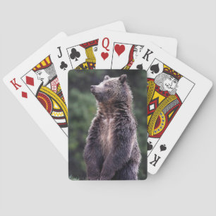 Jeu De Cartes Ours gris debout