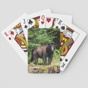 Jeu De Cartes Ours noir alpha