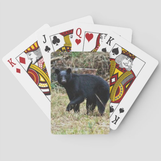 Jeu De Cartes Ours noir de Floride (dos)