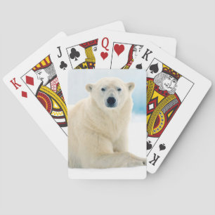 Jeu De Cartes Ours polaire adulte grand verrat sur la glace d'ét