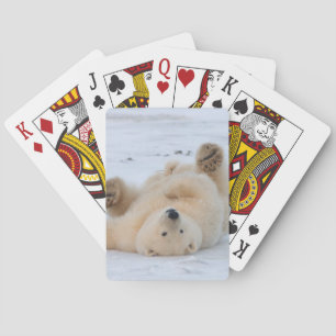 Jeu De Cartes ours polaire, Ursus maritimus, petit roulement 3