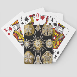 Jeu De Cartes Oursins de mer anciens dollars de sable par Ernst