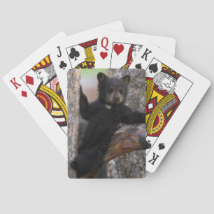 Jeu De Cartes Oursons ours noir au repos