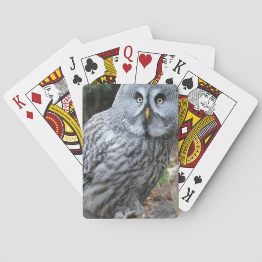 Jeu De Cartes Owl Portrait Photograph (dos)