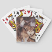 Jeu De Cartes Pack Wolf (dos)