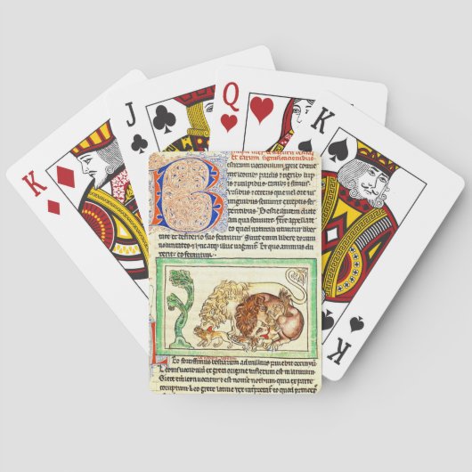 Jeu De Cartes Page lumineuse 1250 (dos)
