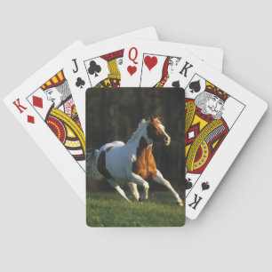 Jeu De Cartes Paint Horse Running Fast