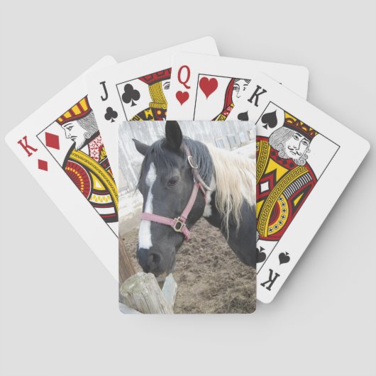 Jeu De Cartes Paint Pinto Horse (dos)