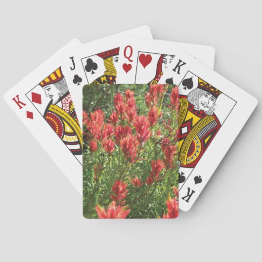 Jeu De Cartes Paintbrush Playing Cards (dos)