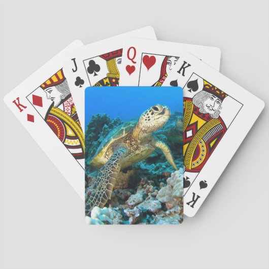 Jeu De Cartes Paires de tortue (dos)