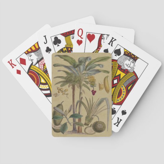 Jeu De Cartes Palm Antique Fruit Tropical Art Botanique (dos)