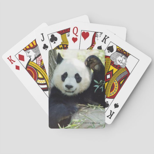 Jeu De Cartes Panda géant se reposant contre l'arbre (dos)