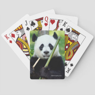 Jeu De Cartes Panda géant tenant le bambou