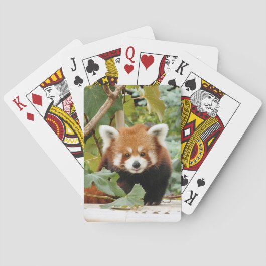 Jeu De Cartes Panda rouge (dos)