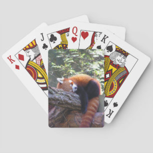 Jeu De Cartes Panda rouge dormant