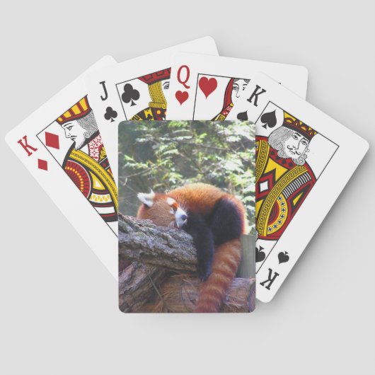 Jeu De Cartes Panda roux endormi (dos)