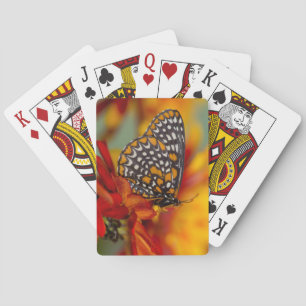 Jeu De Cartes Papillon à carreaux de Baltimore