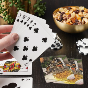 Jeu De Cartes Papillon Belle Dame Photo de Nature