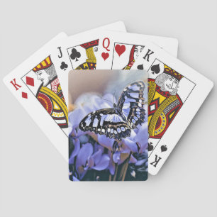 Jeu De Cartes Papillon bleu