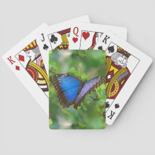 Jeu De Cartes Papillon bleu
