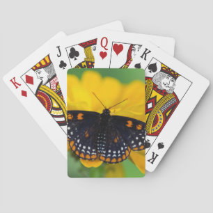 Jeu De Cartes Papillon Checkered de tache de Baltimore