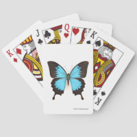 Papillon d'Ulysse