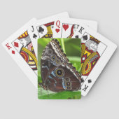 Jeu De Cartes Papillon foncé assis sur la feuille (dos)