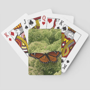 Jeu De Cartes Papillon Limenitis Artémis Photographie De La Bell