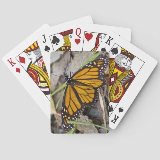 Jeu De Cartes Papillon monarque (dos)