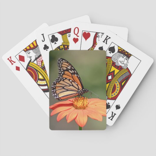 Jeu De Cartes Papillon Monarque sur une fleur d'orange (dos)