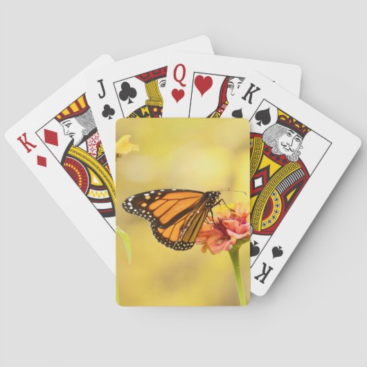 Jeu De Cartes Papillon Monarque sur Zinnia (dos)