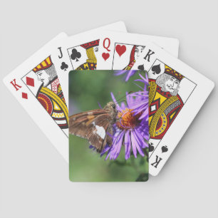 Jeu De Cartes Papillon sur Wild Purple Aster Flower Nature