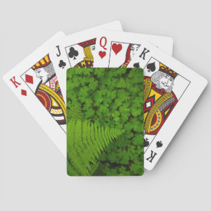 Jeu De Cartes Parc d'État des Redwoods de Humboldt