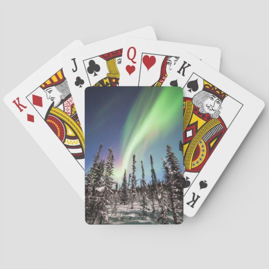 Jeu De Cartes Parc national du nord des lumières | Denali (dos)