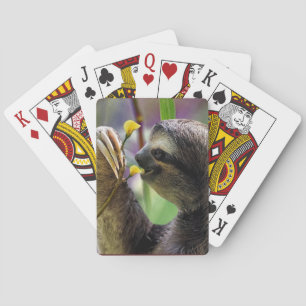Jeu De Cartes Paresseux à trois doigts